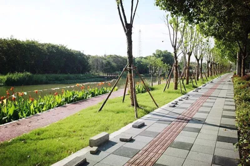 W020251125575321241650 Ê×Ò³| CA88¼¯ÍÅÖйúΨһ¹Ù·½ÍøÕ¾