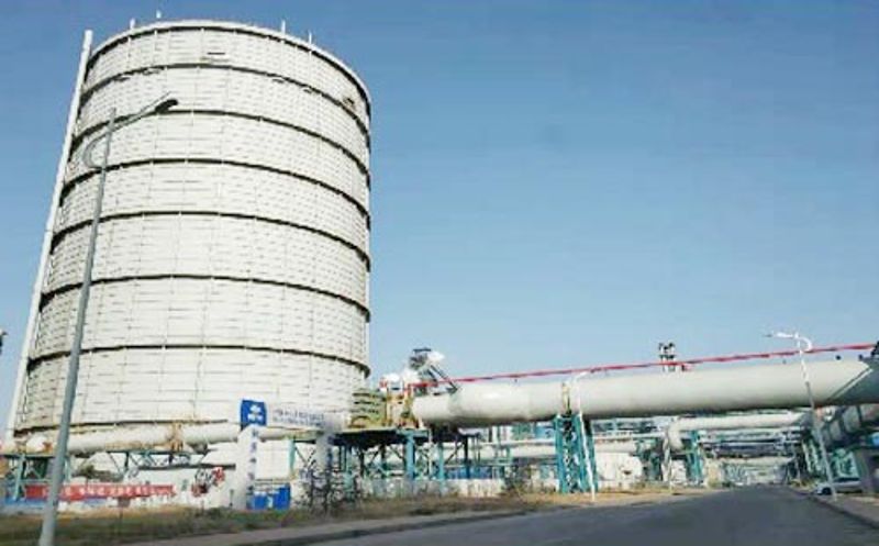 W020251125585876950944