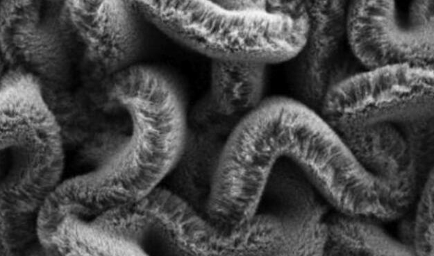 行业新闻：可拉伸的超等电容器，为柔性可穿戴设备铺路