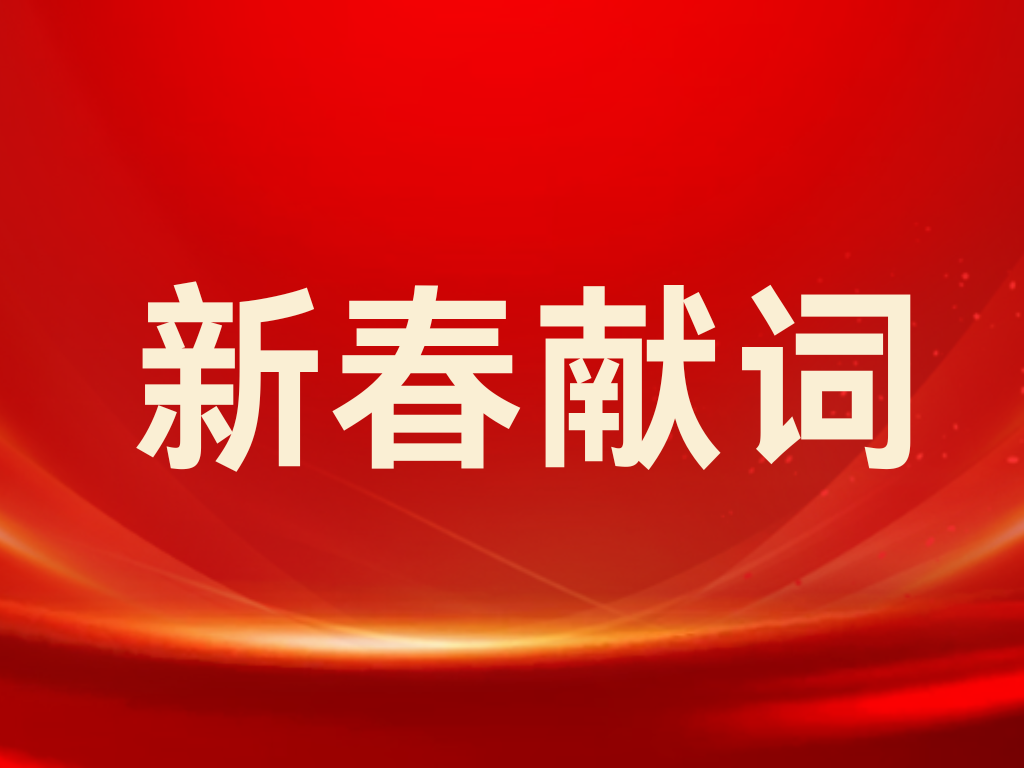 W020260217406276278805