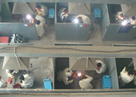 W020251125581563475459